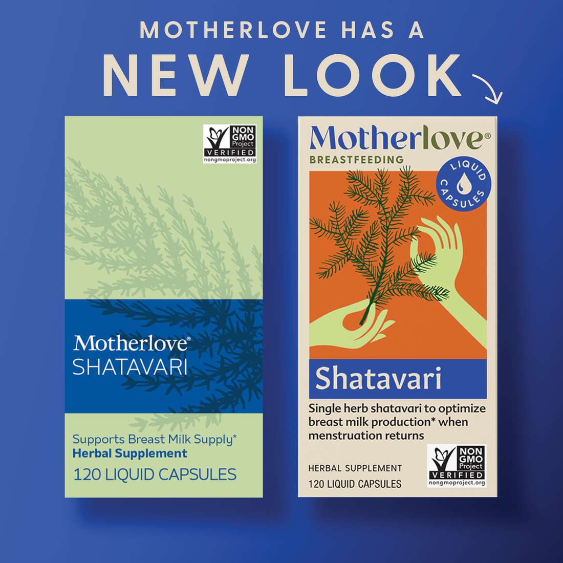 Motherlove Shatavari Liquid Capsules