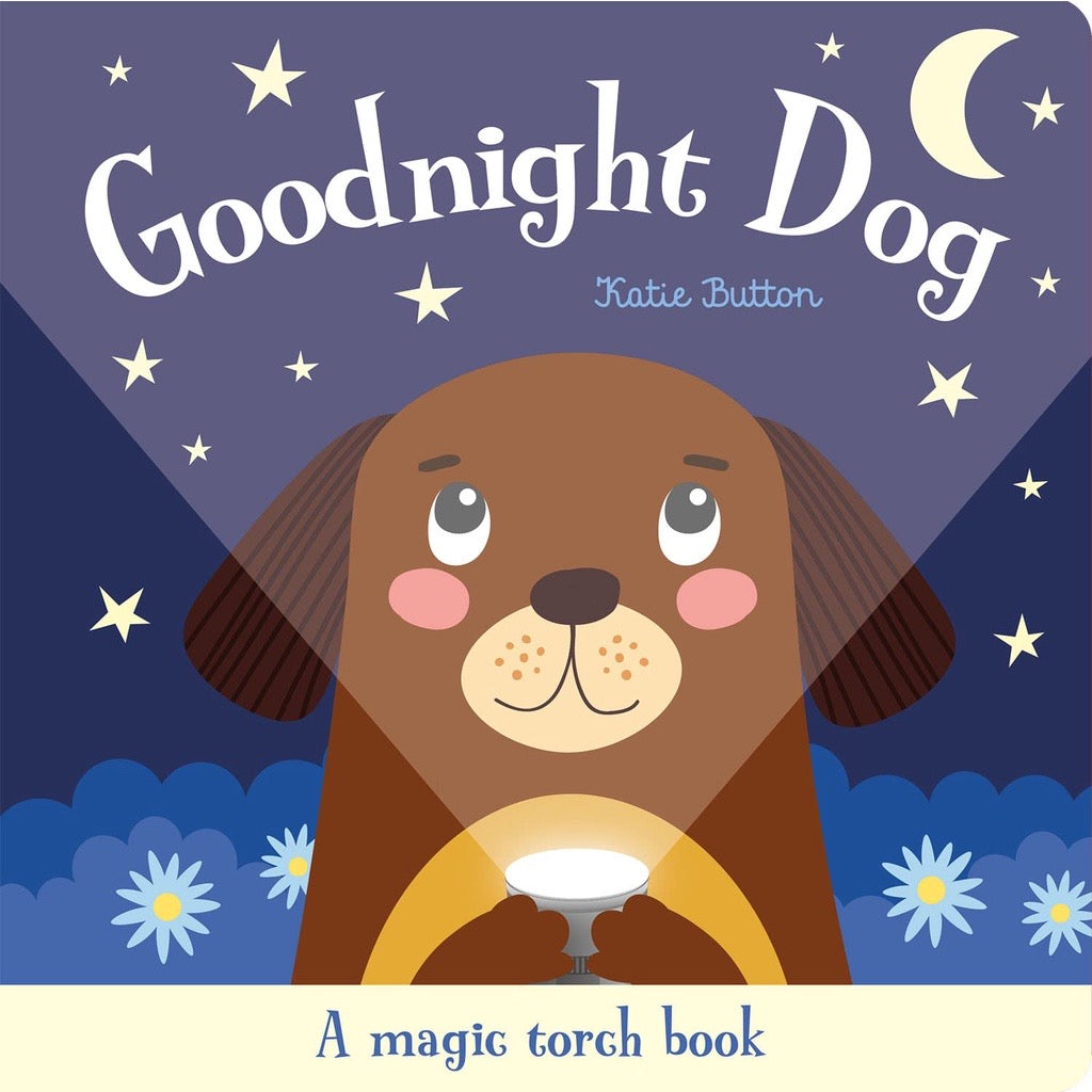 Magic Torch Books: Goodnight Bear, Goodnight Frog, Goodnight Lion, Goodnight Monkey