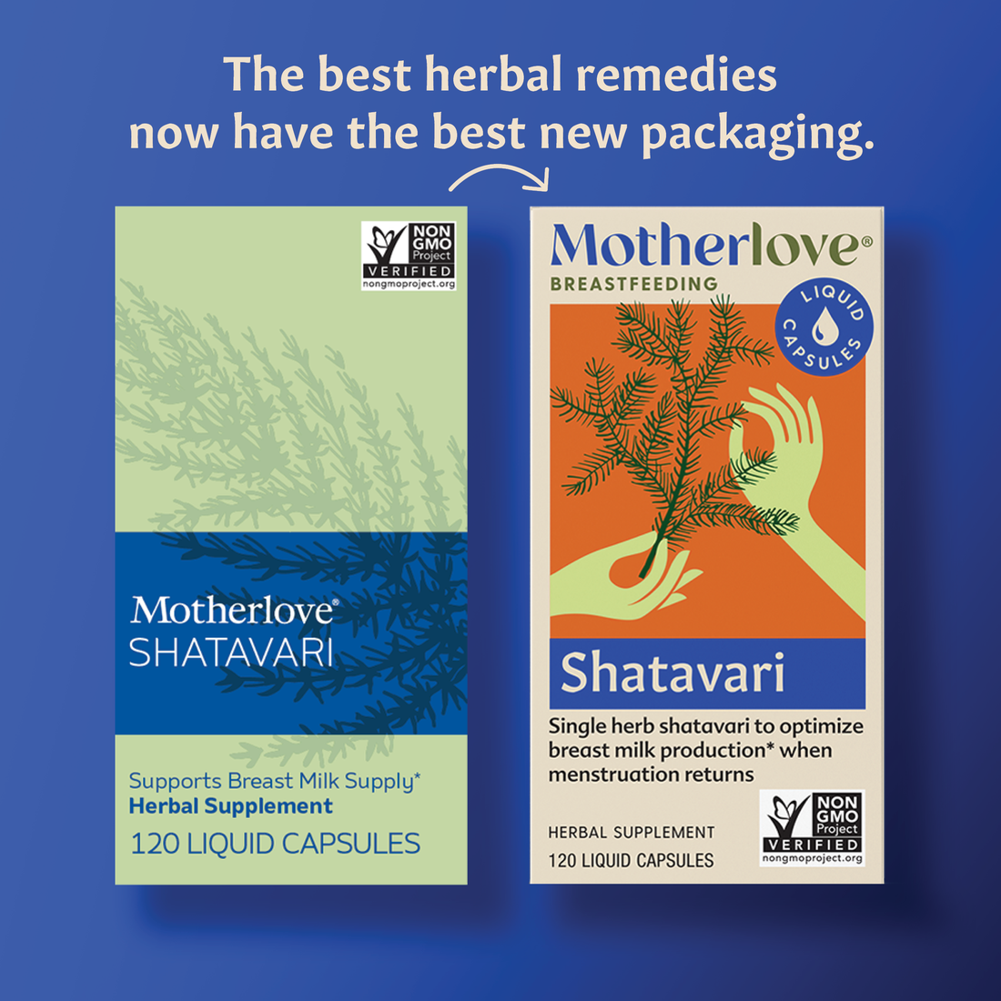 Motherlove Shatavari Liquid Capsules