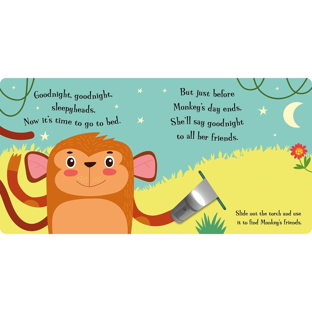 Magic Torch Books: Goodnight Bear, Goodnight Frog, Goodnight Lion, Goodnight Monkey